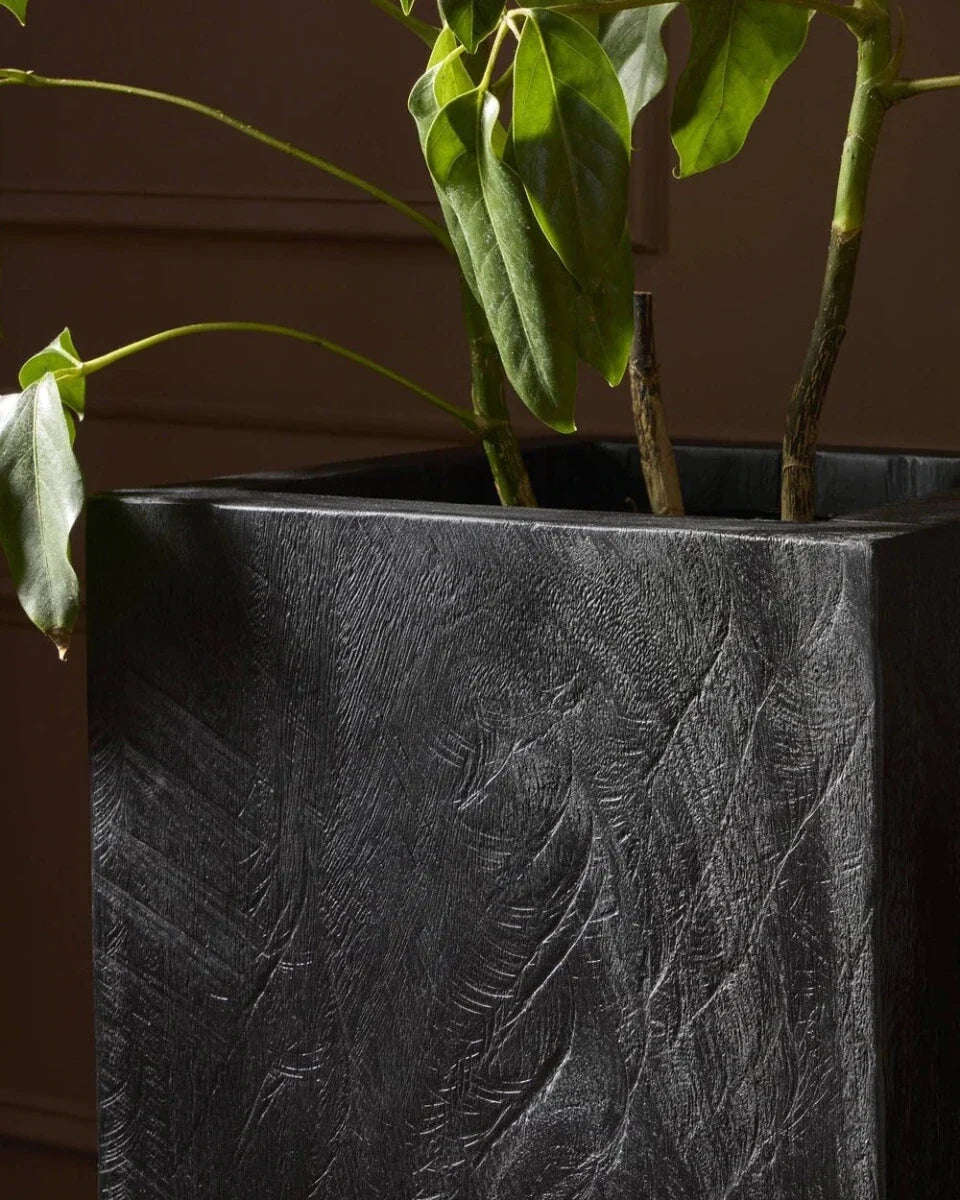 Carbonized Black / Large