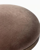 Monte Mushroom