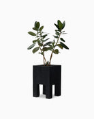Carbonized Black / Medium