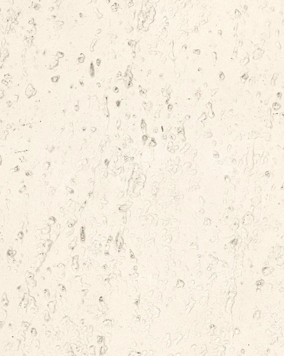 Coarse Ivory Concrete / Counter
