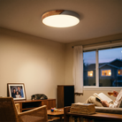 LED Ceiling Light Modern Nordic Wooden lifestyle