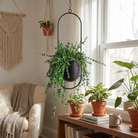FloraFrame Hanging Planter lifestyle